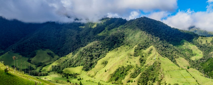 Destino oculto - Cartago